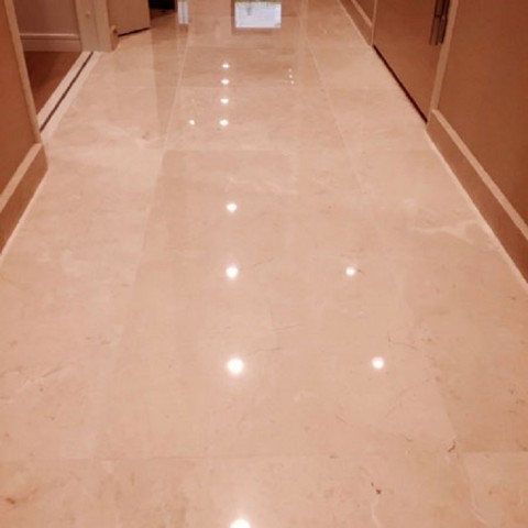 板橋区　マンションの画像