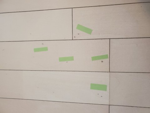 サンプルの画像