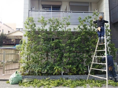 新宿区　マンションの画像