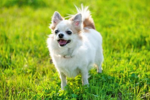 〇〇様邸 リフォーム工事の画像