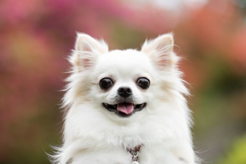 〇〇様邸 リフォーム工事の画像