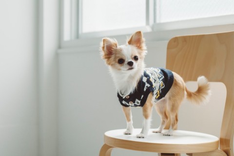 〇〇様邸 リフォーム工事の画像