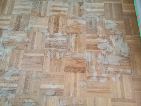 ベストホーム/パルムドールの画像