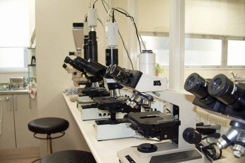 東京県 某動物病院 顕微鏡画像工事の画像