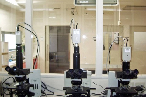 東京県 某動物病院 顕微鏡画像工事の画像