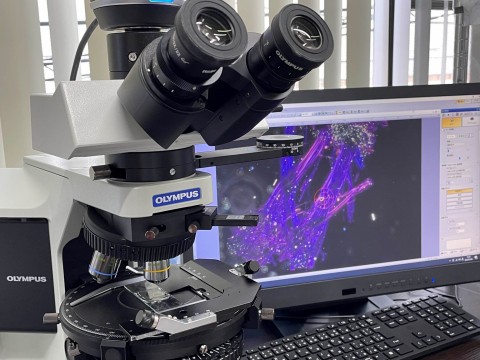 全国各企業様　アスベスト分析調査の画像