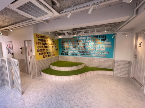 東京都　犬猫カフェ内装工事の画像