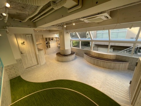 東京都　犬猫カフェ内装工事の画像