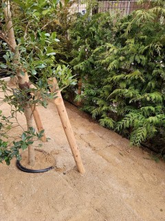 都内某所　マンション　自動潅水設備工事の画像