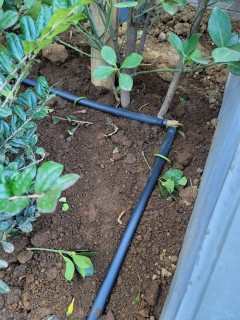 神奈川県某所　マンション植栽部　自動潅水設備工事の画像