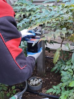 千葉県某所　マンション　植栽部　自動潅水工設備事の画像