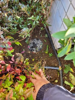 神奈川県某所　マンション植栽部　自動潅水設備工事の画像