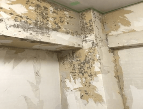 マンション防カビ工事　施工前の画像