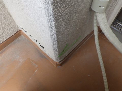 Ｄマンション改修＜施工前＞の画像