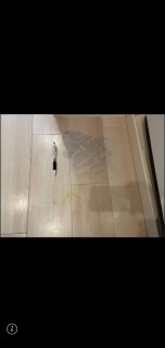 東京都多摩地区の画像