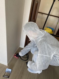 愛知県特別養護施設トコジラミ駆除予防の画像