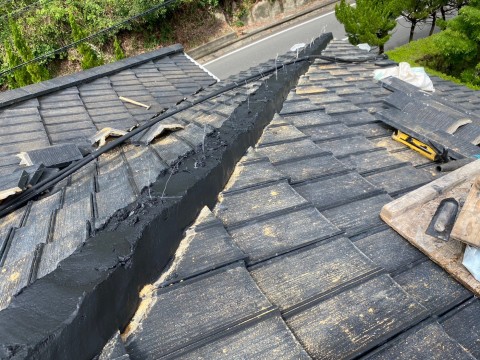 棟取り直し　丸の画像