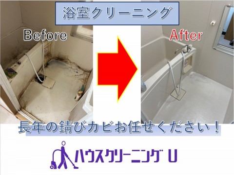 水回りクリーニングの画像