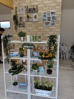 うどん店新規店舗内装の画像