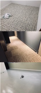 西新宿オフィス改修工事の画像