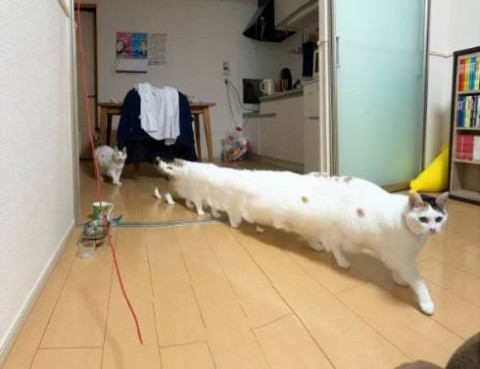 東京都ビル改築の画像