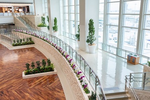 那覇空港国際線ターミナルの画像