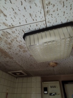 仙台市内、特殊清掃現状回復工事の画像