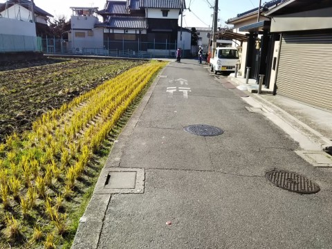 道路整備工事②の画像
