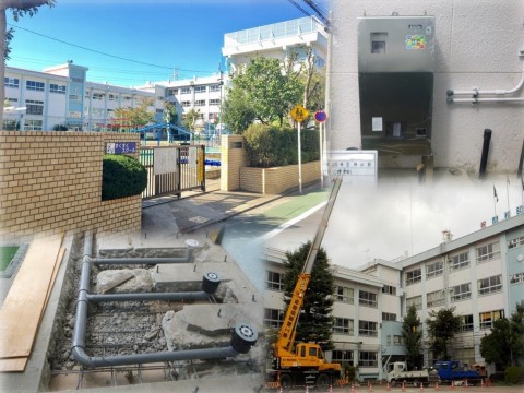 江戸川区立西小岩小学校の画像