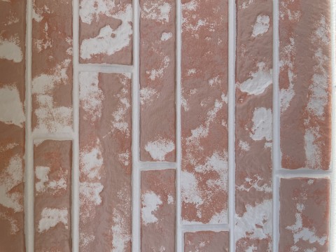 所沢市 サイディング塗装の画像