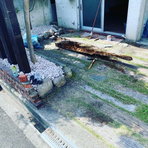 兵庫県/西宮市の画像