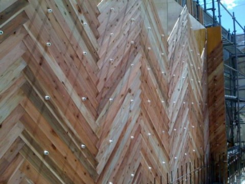 東京Sプロジェクトの画像