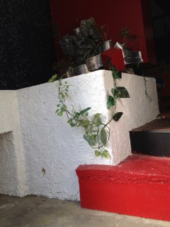 東大阪市の和室の改装の画像