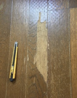 神奈川県　アパート床補修の画像