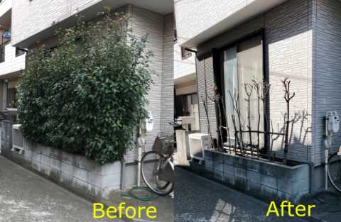 遺品整理、ごみ屋敷、解体前の残置物運送・撤去の画像
