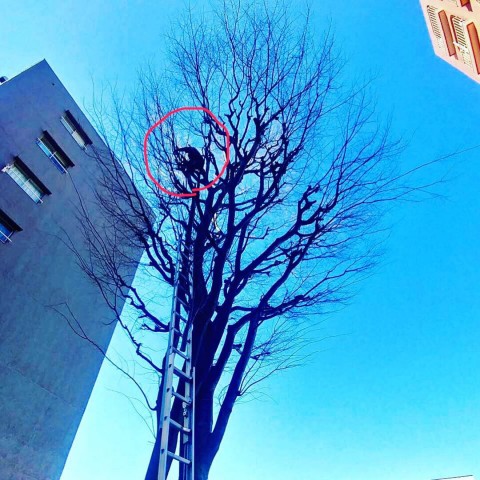 某集合住宅の画像