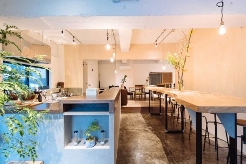 南大塚 一棟リノベーションの画像