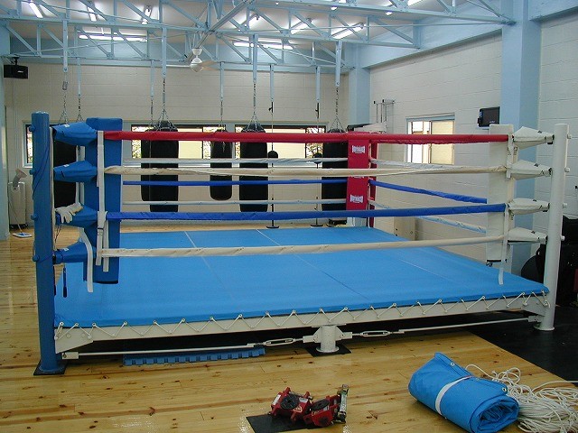 Dボクシングジム様の画像